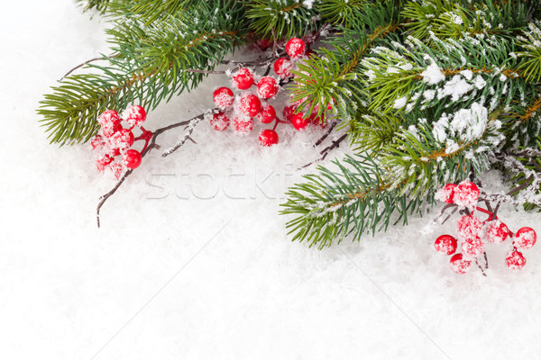 Karácsony fenyőfa ág bogyó hó fa Stock fotó © karandaev