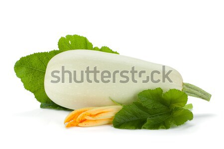 Fresh zucchini fruit with green leaves and flower Stock photo © karandaev