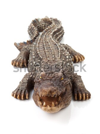 Wildlife crocodile open mouth Stock photo © karandaev