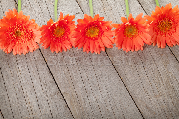 Wooden background with orange gerbera Stock photo © karandaev