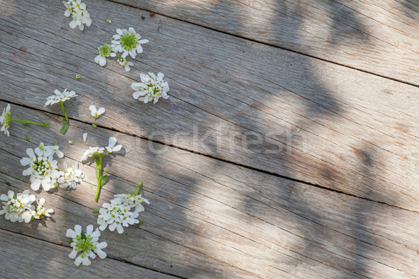 Wooden garden table Stock photo © karandaev
