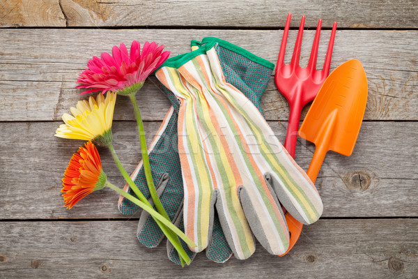 Gardening tools, gloves and gerbera flowers Stock photo © karandaev
