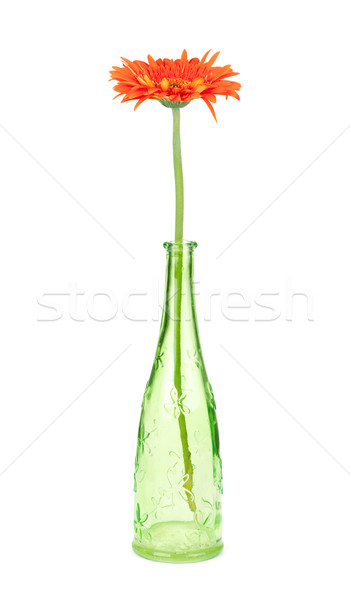 [[stock_photo]]: Fleur · vert · bouteille · isolé · blanche · printemps