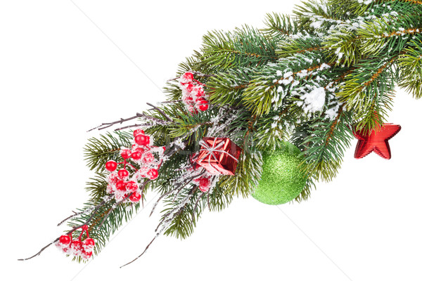 Christmas snow fir tree branch with holly berry and decor Stock photo © karandaev