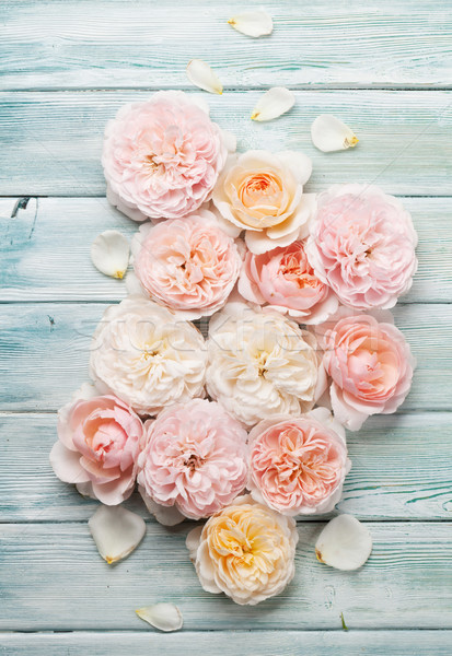 Garden rose flowers on wooden background Stock photo © karandaev