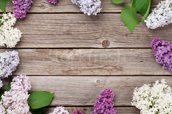 Foto stock: Colorido · lila · flores · superior · vista