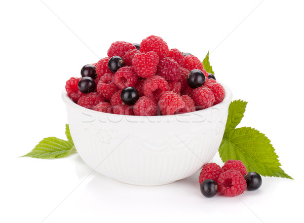 Ripe berries Stock photo © karandaev