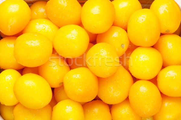 Yellow tomatoes Stock photo © karandaev