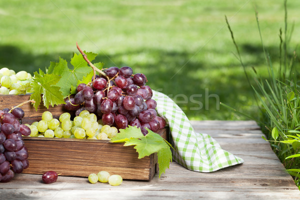 White and red grape on garden table Stock photo © karandaev