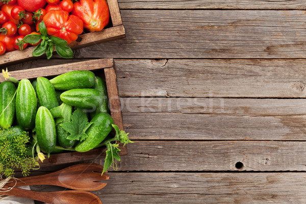 Friss kert paradicsomok uborkák gyógynövények főzés Stock fotó © karandaev