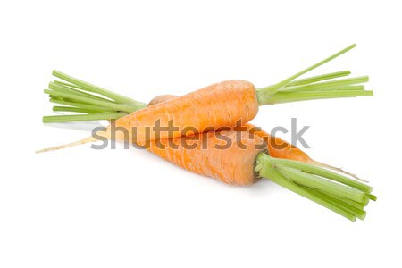 Fresh ripe carrots Stock photo © karandaev