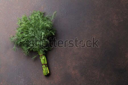 Dill. Herbs and spices Stock photo © karandaev