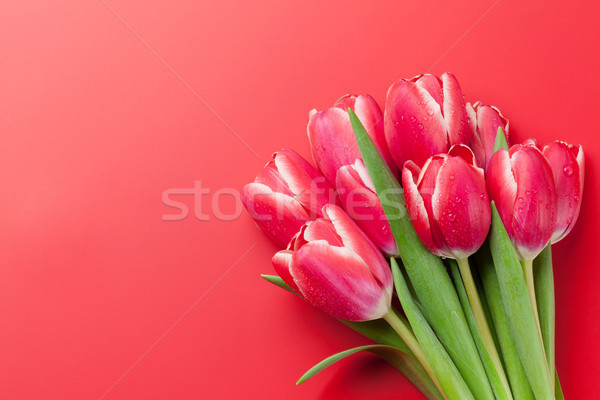 Foto stock: Rojo · tulipán · flores · ramo · superior · vista