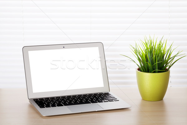 Iroda munkahely laptop növény fából készült asztal Stock fotó © karandaev