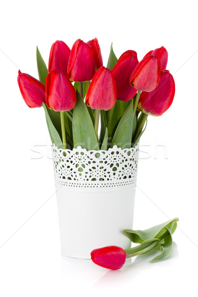 Rojo tulipanes maceta aislado blanco Pascua Foto stock © karandaev