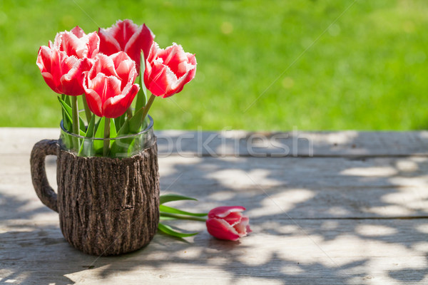 Colorful tulips on garden table Stock photo © karandaev
