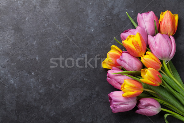Fresh colorful tulip flowers Stock photo © karandaev