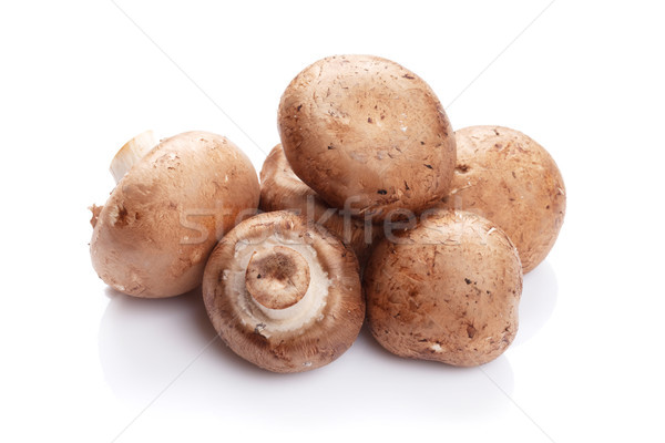 Champignon gombák izolált fehér csoport stúdió Stock fotó © karandaev