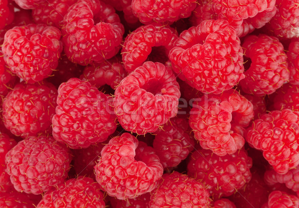 Raspberry closeup Stock photo © karandaev