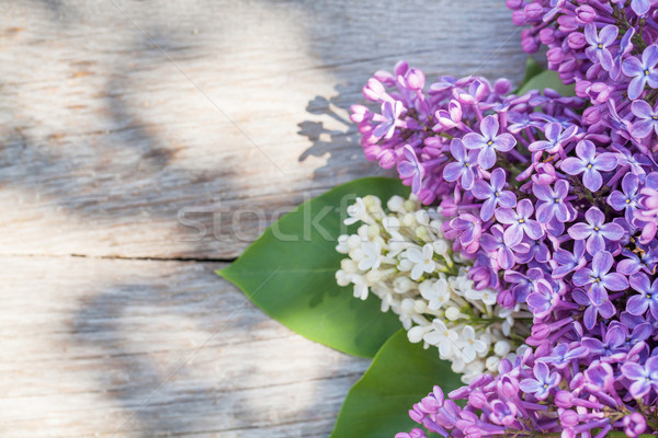 Colorido lila flores jardín mesa superior Foto stock © karandaev
