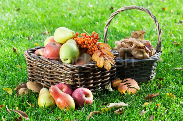 Сток-фото: осень · продовольствие · плодов · грибы · корзины · трава