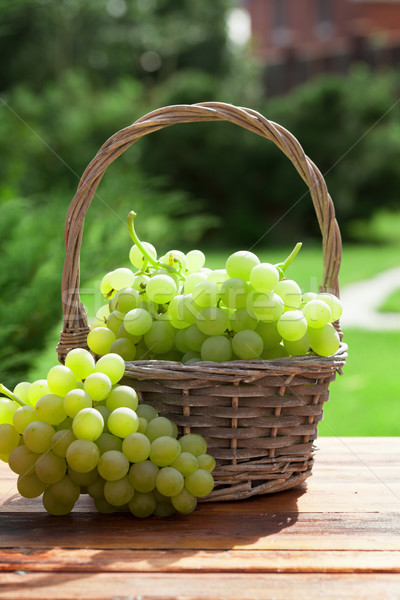 White grape Stock photo © karandaev