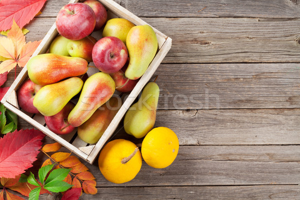 Stock photo: Autumn colorful leaves and food