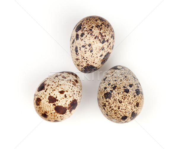 Three quail eggs Stock photo © karandaev