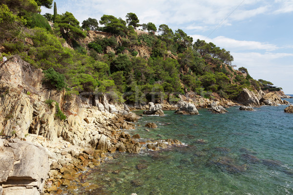 Seenlandschaft Berge Meer Spanien Natur Stock foto © karandaev