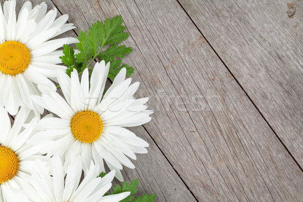 Daisy camomile flowers on wooden background Stock photo © karandaev