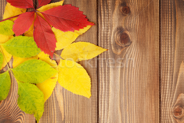 Foto stock: Hojas · de · otoño · madera · espacio · de · la · copia · colorido · naturaleza · fondo