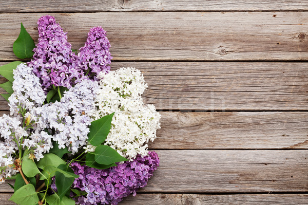 Stock photo: Colorful lilac flowers