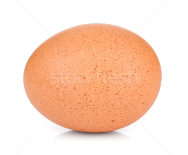 Egg Stock photo © karandaev