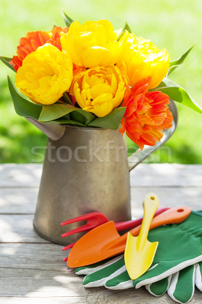 Colorful tulips and garden tools Stock photo © karandaev