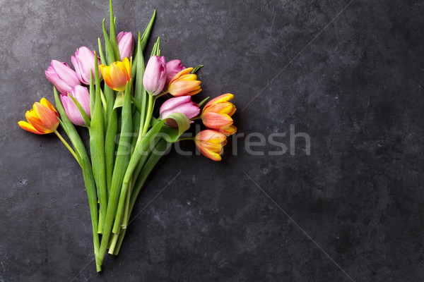 Fresh colorful tulip flowers Stock photo © karandaev