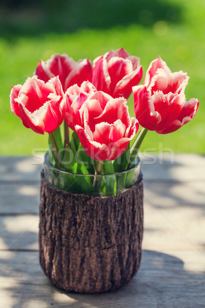 Foto stock: Colorido · tulipanes · jardín · mesa · hierba · verde · bokeh