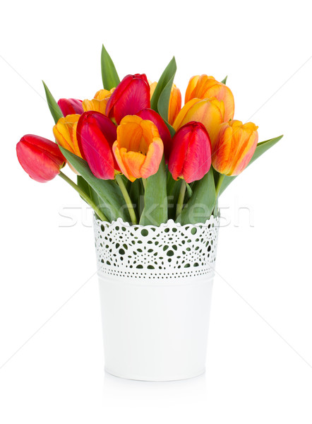 Red and orange tulips in flowerpot Stock photo © karandaev