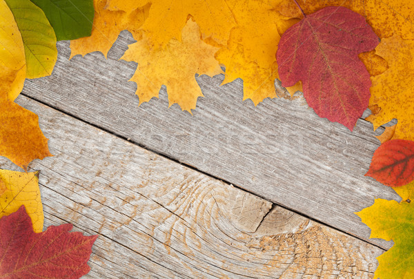 Hojas de otoño madera textura de madera textura diseno hoja Foto stock © karandaev
