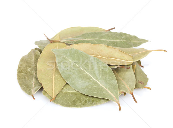 Aromático hojas aislado blanco alimentos hoja Foto stock © karandaev