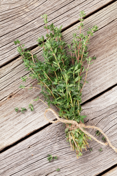 Bunch of garden thyme herb Stock photo © karandaev