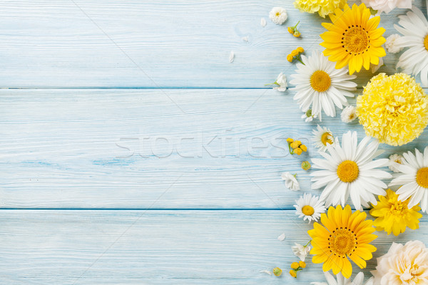 Garden flowers over wooden background Stock photo © karandaev