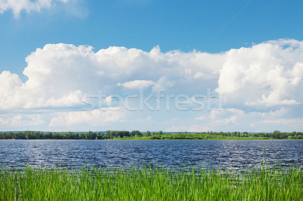 Landschap rivier bewolkt hemel zonnige zomer Stockfoto © karandaev