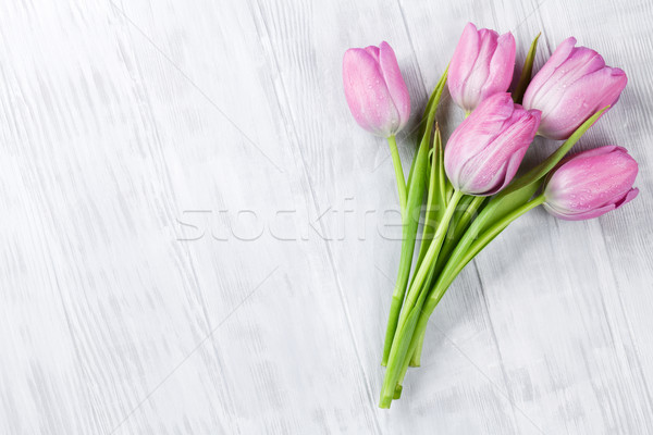 Fresh pink tulip flowers Stock photo © karandaev