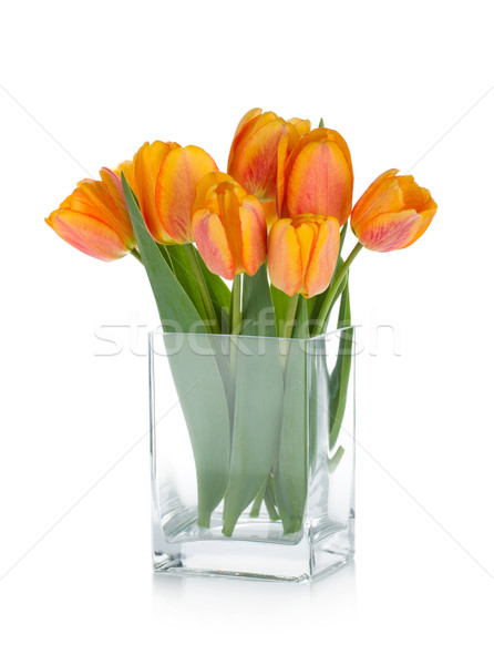 Foto stock: Laranja · tulipas · flor · tigela · isolado · branco