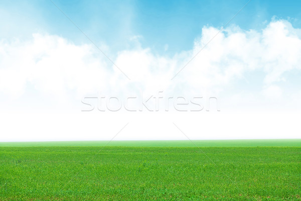 Foto stock: Hierba · verde · campo · cielo · azul · cielo · primavera · verano