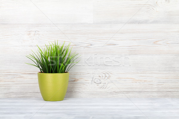 [[stock_photo]]: Plante · en · pot · plateau · bois · mur · vue · espace · de · copie