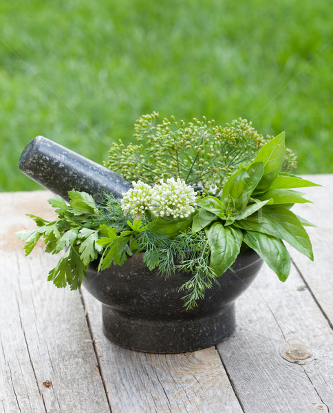 Fresh herbs in mortar Stock photo © karandaev