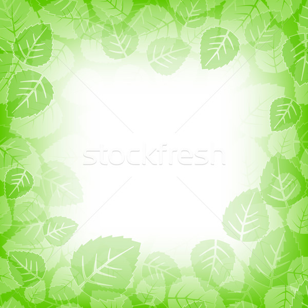 Stockfoto: Bladeren · frame · exemplaar · ruimte · papier · voorjaar · bos