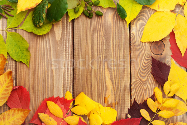 Hojas de otoño madera espacio de la copia colorido textura naturaleza Foto stock © karandaev