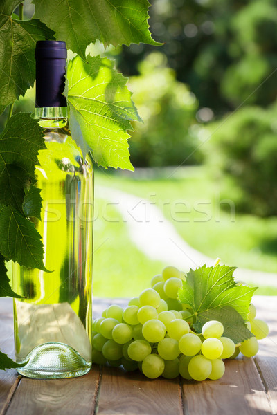 Stok fotoğraf: Beyaz · şarap · üzüm · beyaz · şarap · şişesi · asma · bahçe